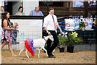 LCFAIR17-3467.jpg