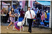 LCFAIR17-3468.jpg