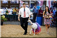 LCFAIR17-3470.jpg