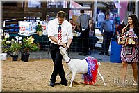 LCFAIR17-3471.jpg