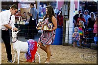 LCFAIR17-3472.jpg