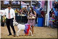 LCFAIR17-3473.jpg