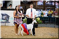 LCFAIR17-3475.jpg