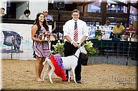 LCFAIR17-3476.jpg