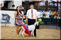 LCFAIR17-3477.jpg