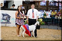 LCFAIR17-3478.jpg