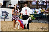 LCFAIR17-3479.jpg