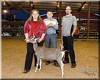 LCFAIR17-3480.jpg