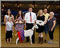 LCFAIR17-3485.jpg