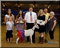 LCFAIR17-3486.jpg