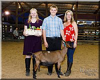 LCFAIR17-3488.jpg