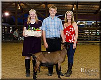 LCFAIR17-3489.jpg