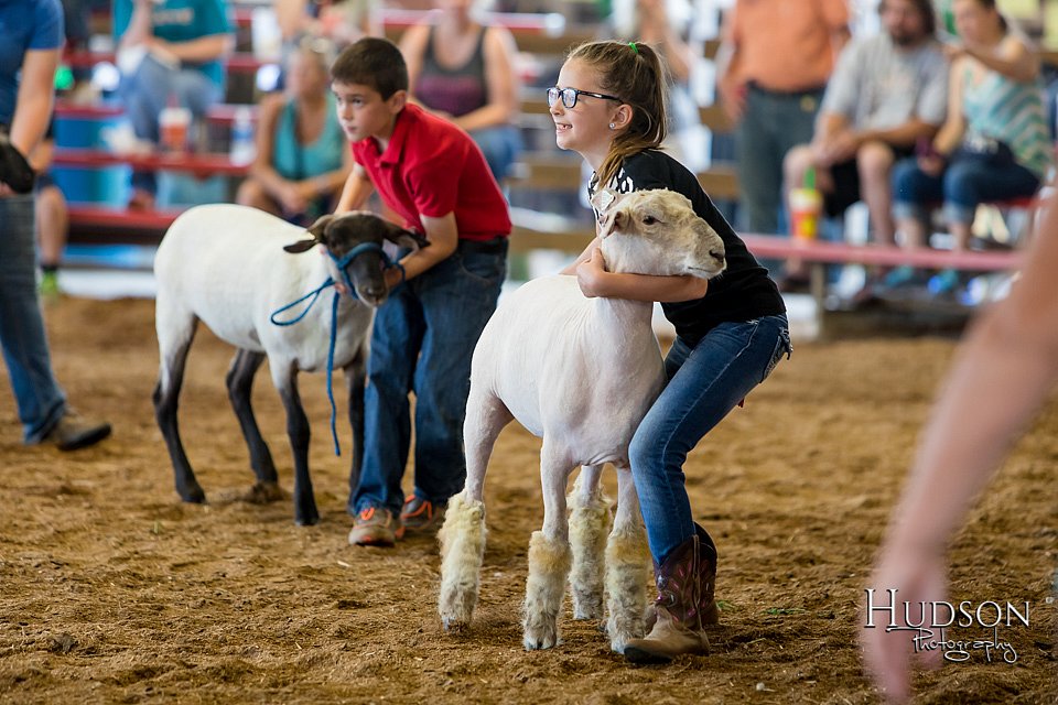 LCFAIR17-2899.jpg