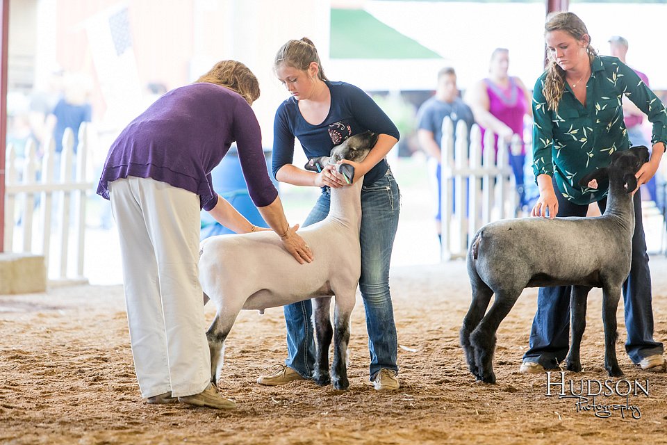 LCFAIR17-2918.jpg