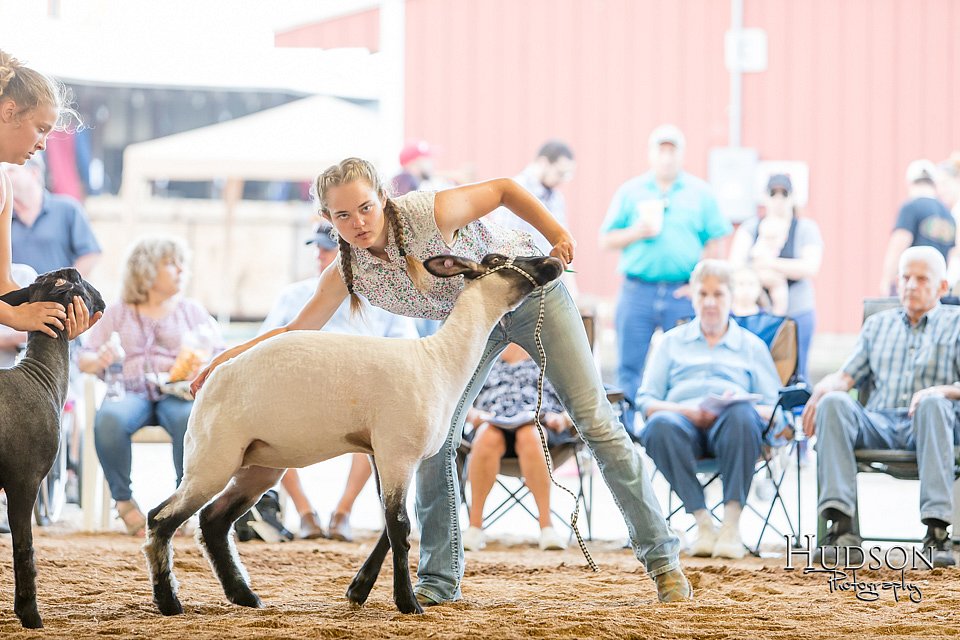 LCFAIR17-3094.jpg