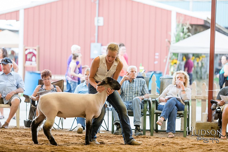 LCFAIR17-3253.jpg