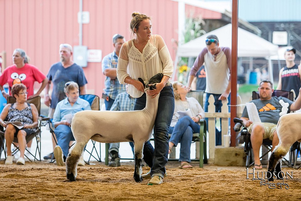 LCFAIR17-3273.jpg