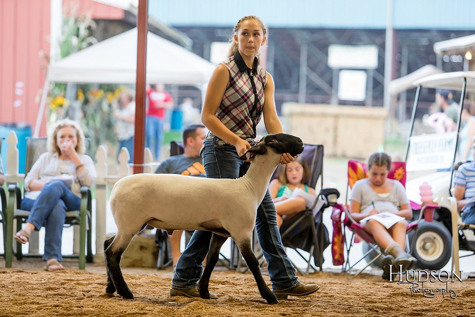 LCFAIR17-3296.jpg