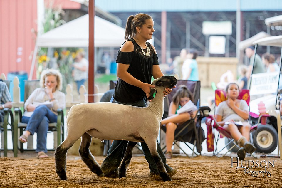 LCFAIR17-3297.jpg