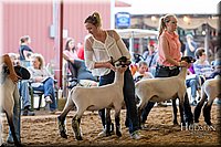 LCFAIR17-2945.jpg