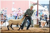 LCFAIR17-3184.jpg