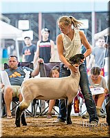 LCFAIR17-3271.jpg