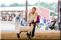 LCFAIR17-3312.jpg