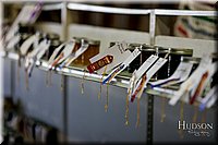 LCFAIR17-4535.jpg