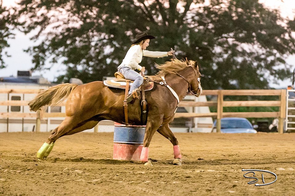 LCFAIR17-5337.jpg