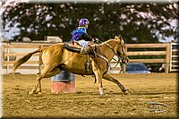 LCFAIR17-5347.jpg