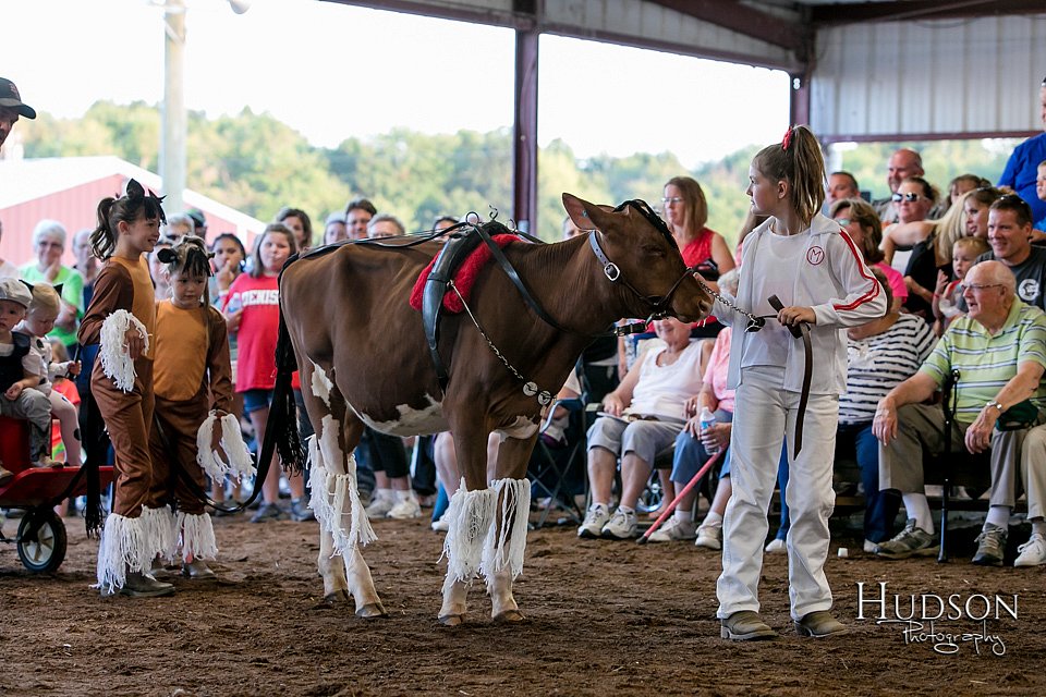 LCFAIR17-5117.jpg