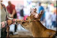 LCFAIR17-4900.jpg