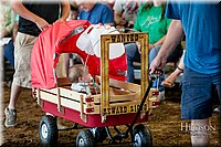 LCFAIR17-4911.jpg