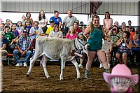 LCFAIR17-4933.jpg