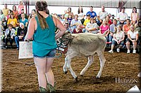 LCFAIR17-4941.jpg