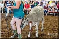 LCFAIR17-4942.jpg