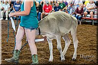 LCFAIR17-4943.jpg