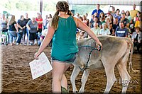 LCFAIR17-4944.jpg