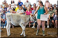 LCFAIR17-4951.jpg