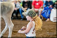 LCFAIR17-4953.jpg