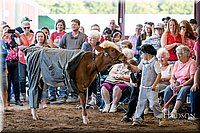 LCFAIR17-5011.jpg