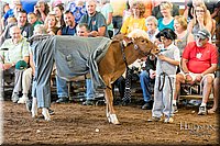 LCFAIR17-5018.jpg