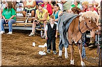 LCFAIR17-5029.jpg