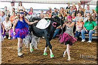 LCFAIR17-5039.jpg