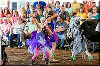 LCFAIR17-5054.jpg