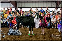 LCFAIR17-5062.jpg