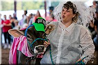 LCFAIR17-5079.jpg