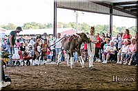 LCFAIR17-5108.jpg