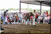 LCFAIR17-5109.jpg