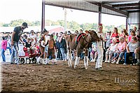 LCFAIR17-5110.jpg